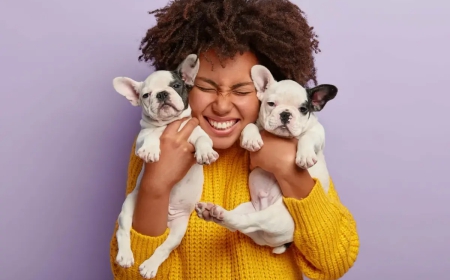 Maximizing your reach with marketing strategies